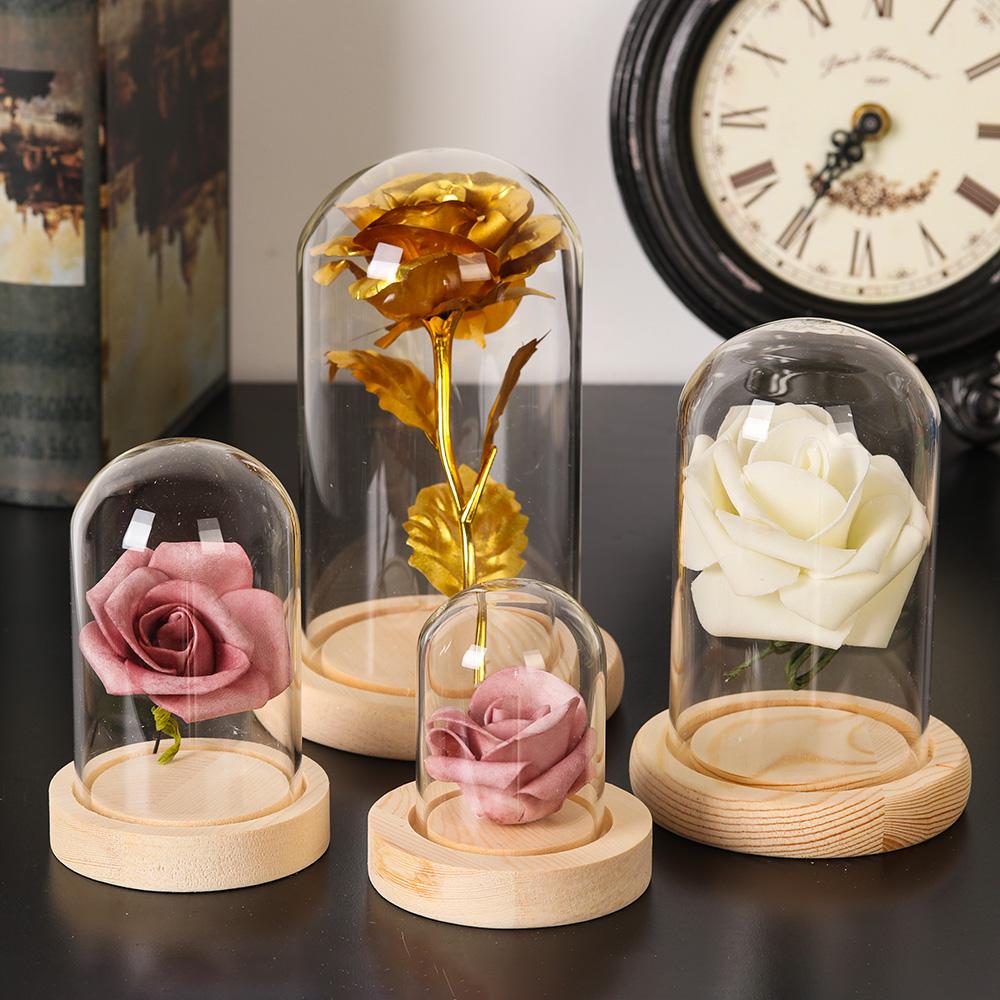 Jarrón de cristal para plantas - Home Decor Flowers reseña y precio