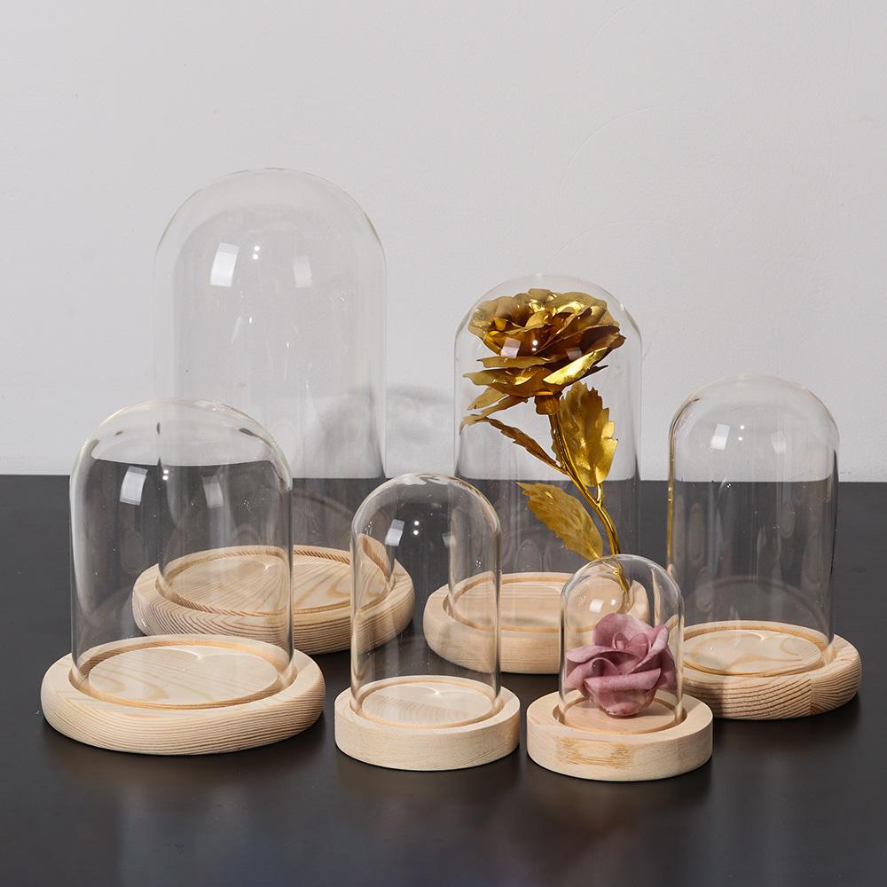 Jarrón de cristal para plantas - Home Decor Flowers reseña y precio