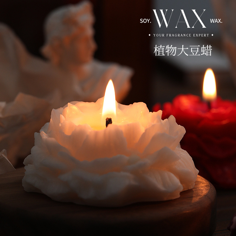 Velas aromáticas de Camelia, a - Home Decor Flowers reseña y precio